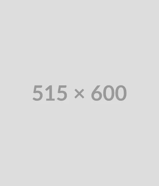 Concept Accountancy